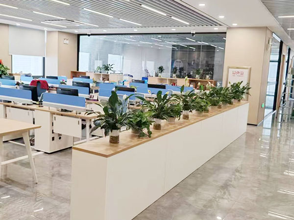 办公区装修实景效果图